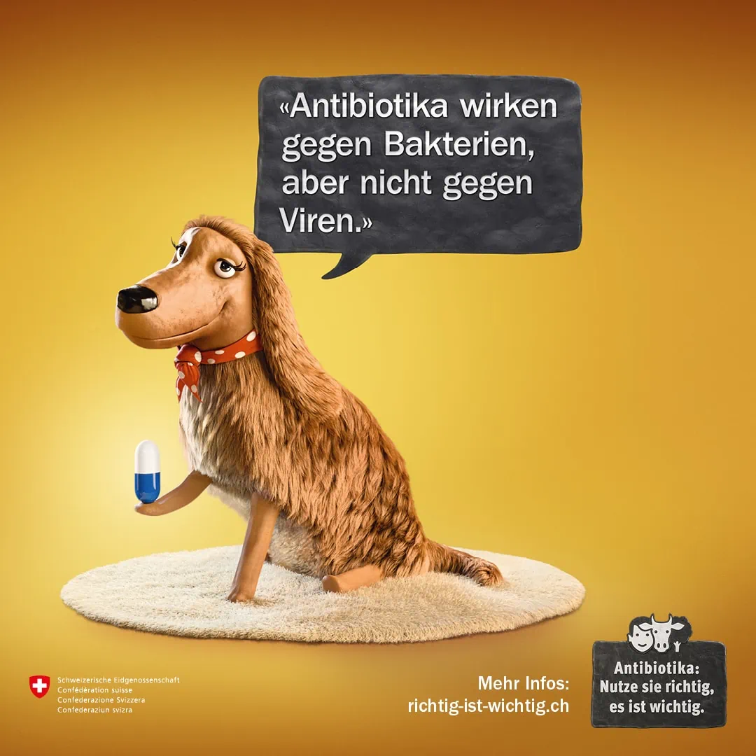 BAG Antibiotika Kampagne Motiv Hund